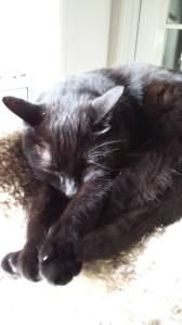 1016683_10201454513066217_2126593775_n