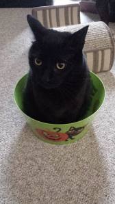 1395804_10202263745736528_334799935_n