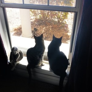 1911740_10202726104385025_823936904_n