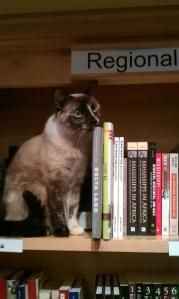 393831_3142363359492_1395897922_n