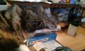 395906_3325010765563_281668725_n