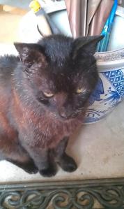 562293_4012328508077_1799830290_n