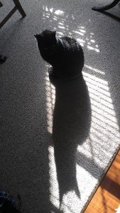 601040_10200481631384783_900528392_n