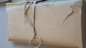 The Last Will and Testament of Simon Sheedy, Greene County Archives