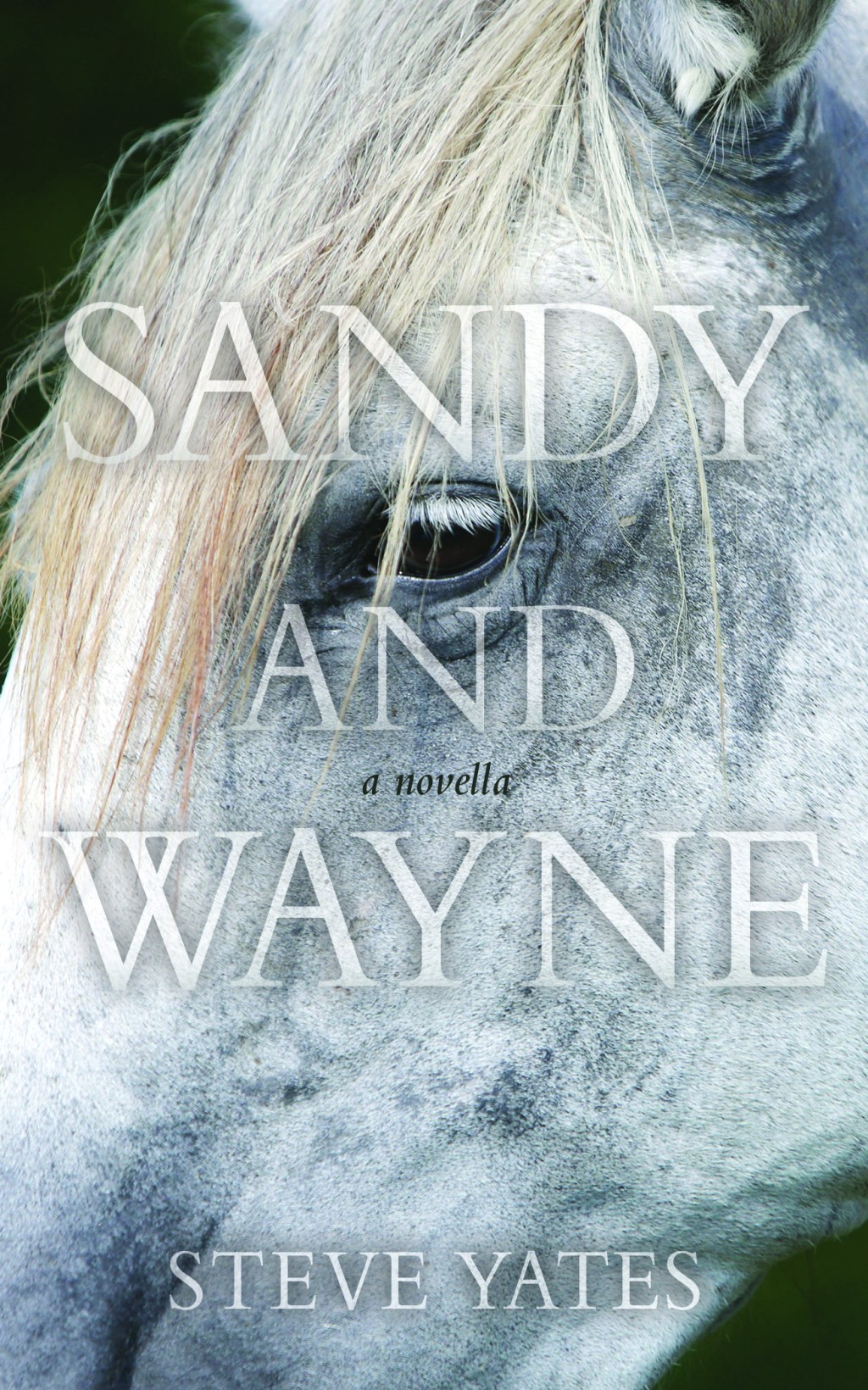 Sandy and Wayne is also an ebook&nbsp;now